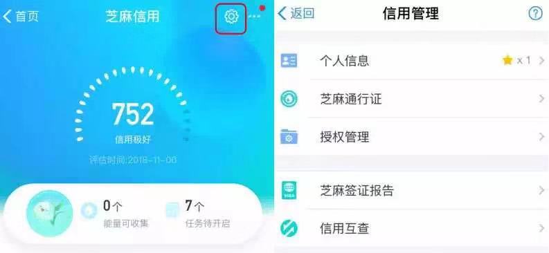 办理签证信用使用加拿大可乐啦芝麻鸡翅加生抽图片