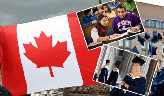 世界大学最新排名:加拿大高校亮眼