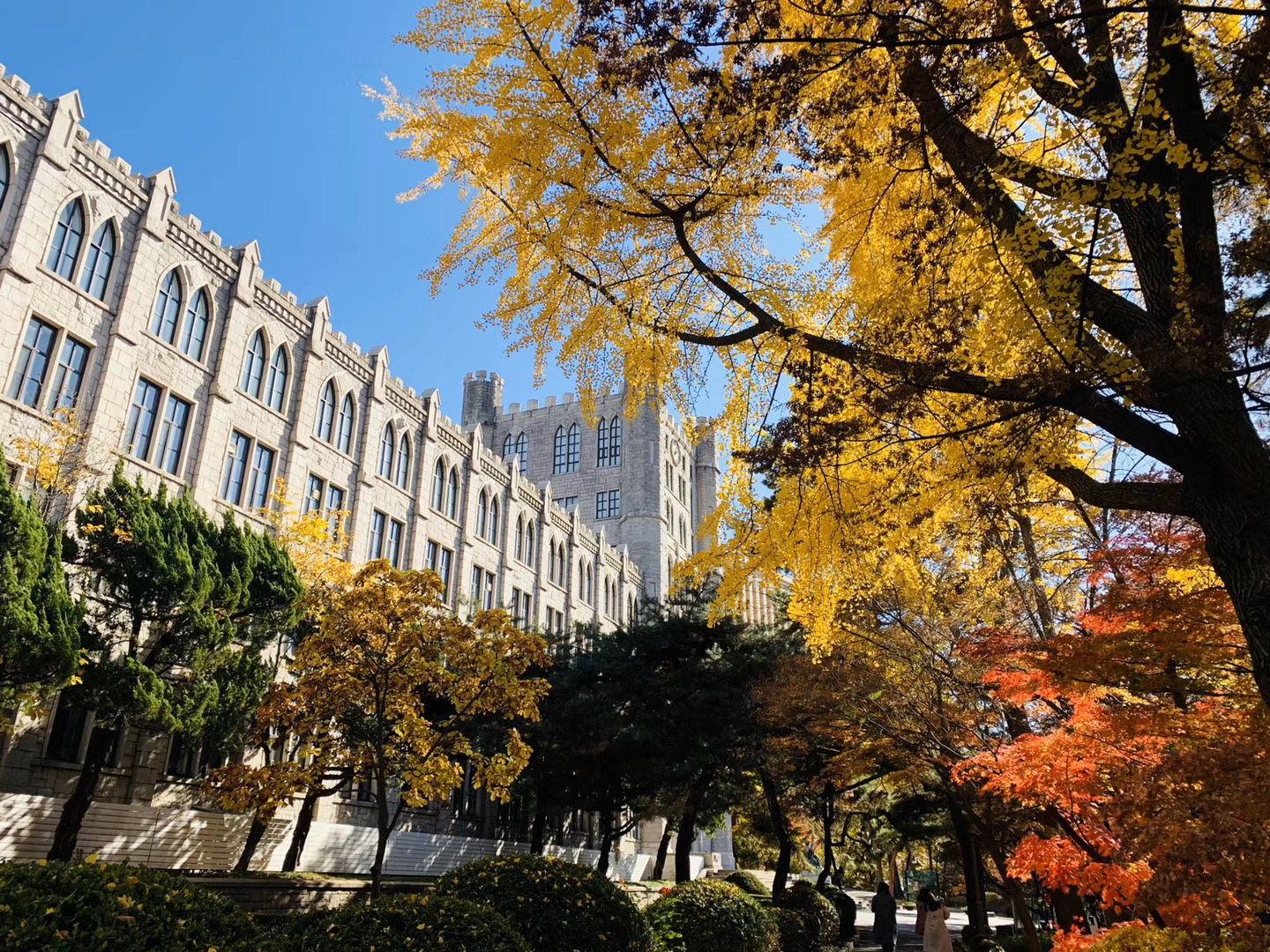 今日份庆熙大学