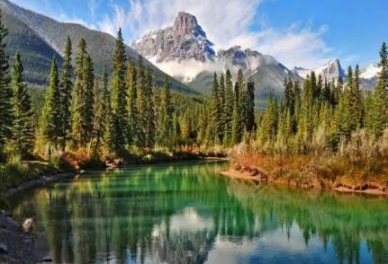 加拿大留学生回国率却最低,吸引你留下来的是