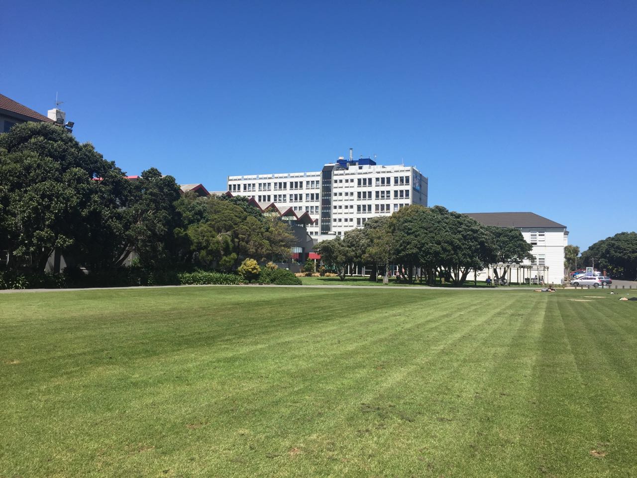 新西兰惠灵顿理工学院新西兰拥有优质的高等职业教育资源,其理工学院