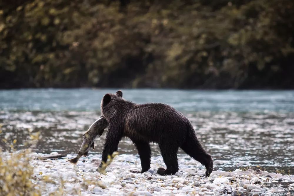走近一点 仿佛进入一个爱丽丝世界的童话仙境 金吉列留学官网