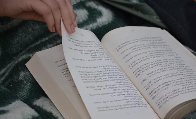 新西兰留学,录取要求高不高?