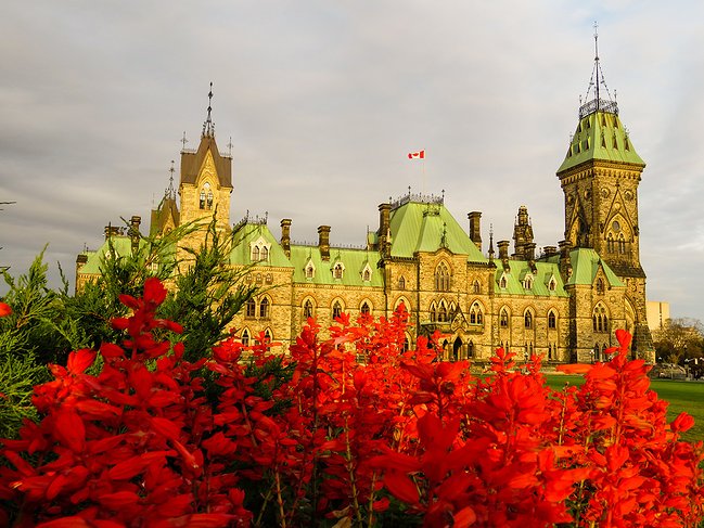 如何选择加拿大的大学?