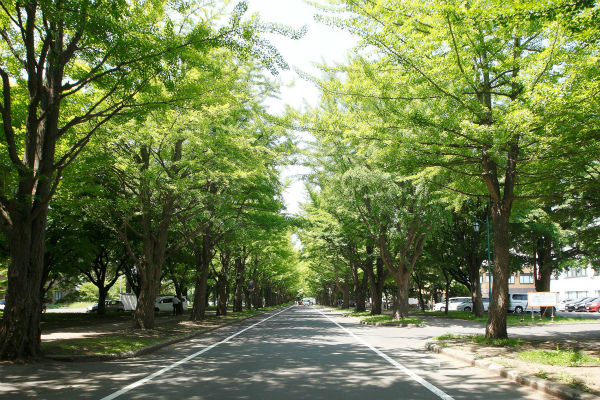 日本7所帝国大学介绍 北海道大学 金吉列留学官网