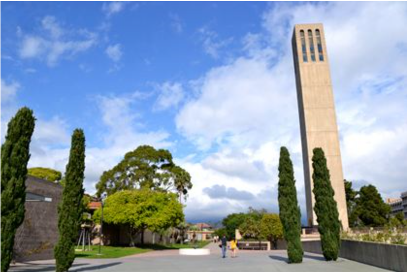 west virginia university東北大學 northeastern university紐約大學