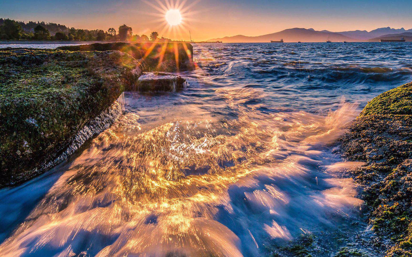 多伦多大学人类学本科专业相关介绍