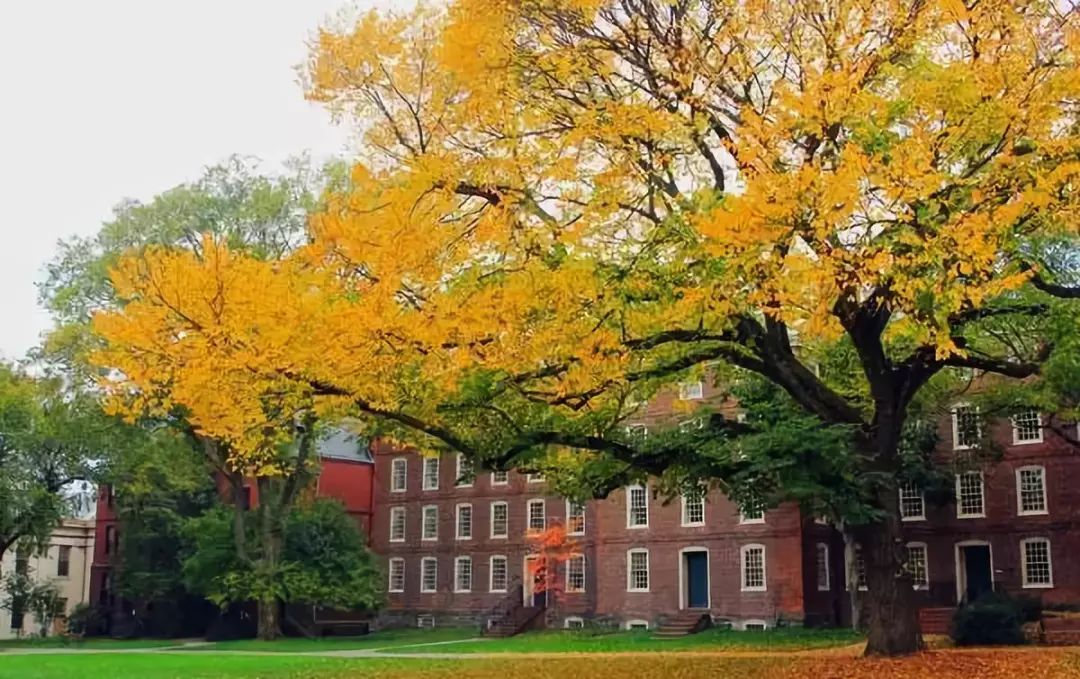 学校美国政治难不难_学校美国绑架案改编的电影_美国学校