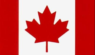 加拿大签证拒签了可以再签吗