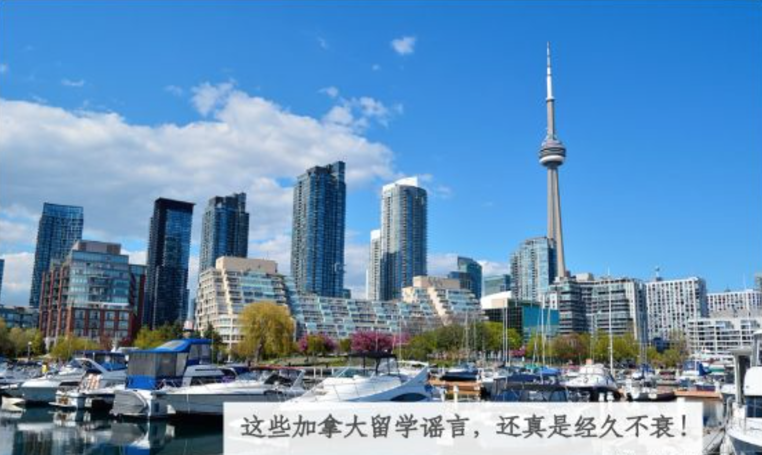 这些关于加拿大留学的谣言,还真是经久不衰!