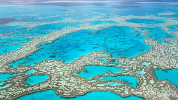 澳洲签证电话调查内容详解