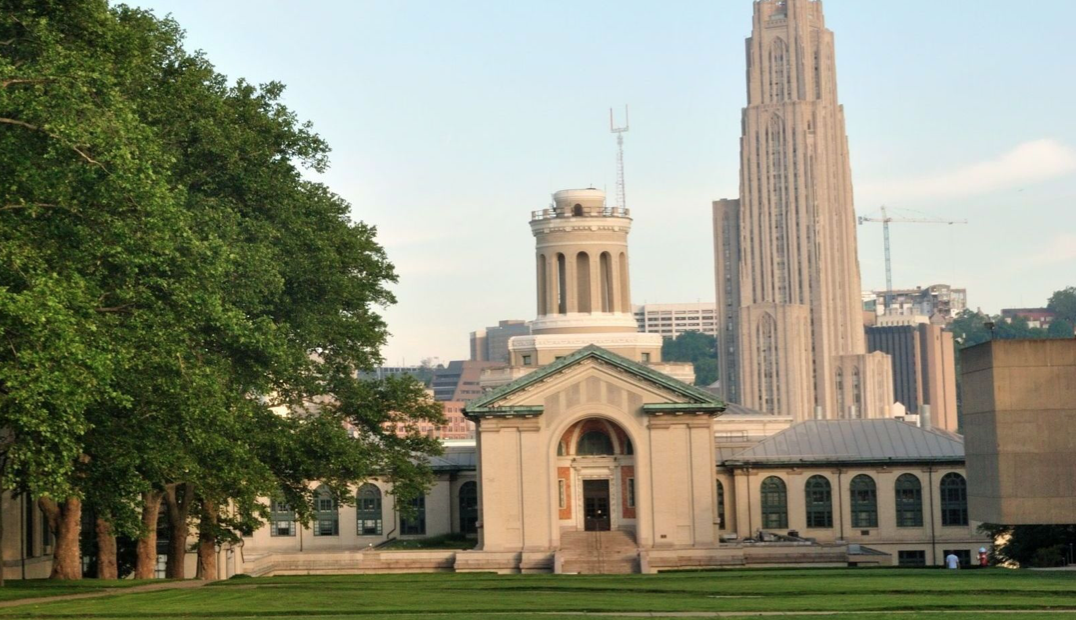 "新常春藤"是什么学校