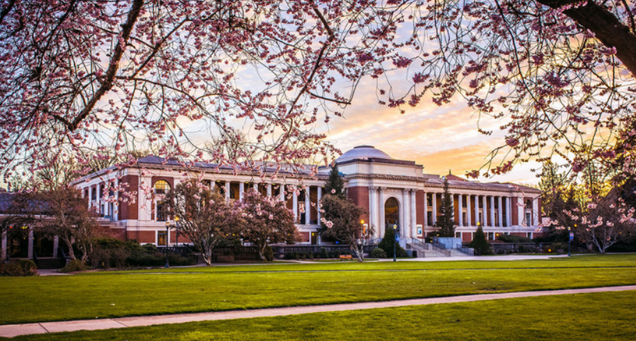 据统计,俄勒冈大学商科课程受到很多学生的追捧.