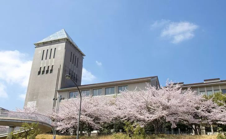 宫崎国际大学图片