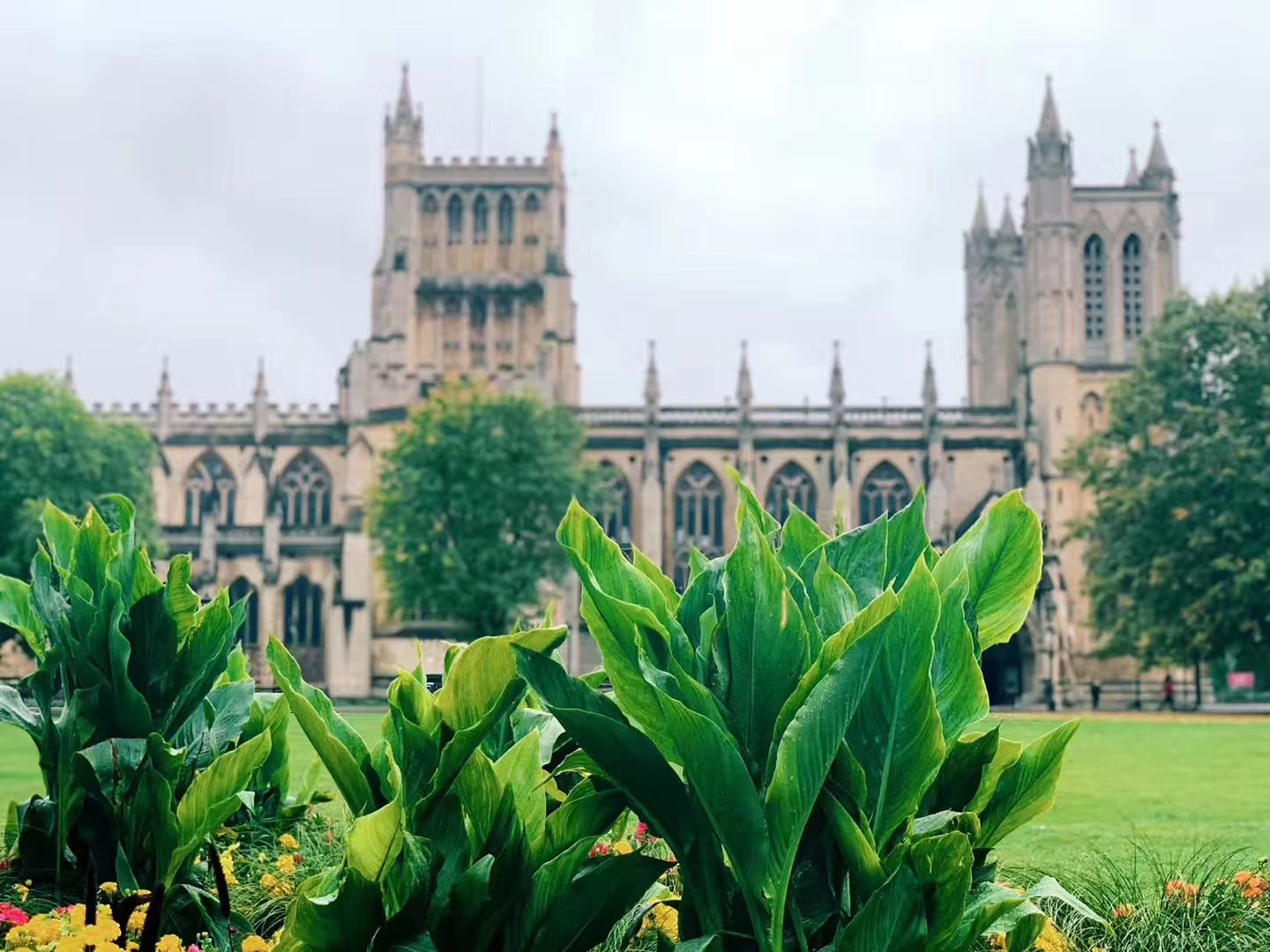 留学英国商科硕士专业方向介绍