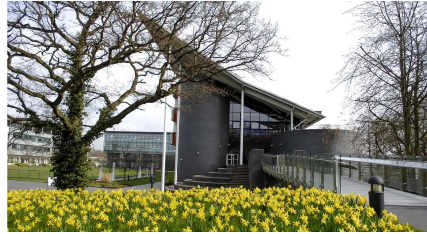 热手干货|华威大学wmg学院专业汇总