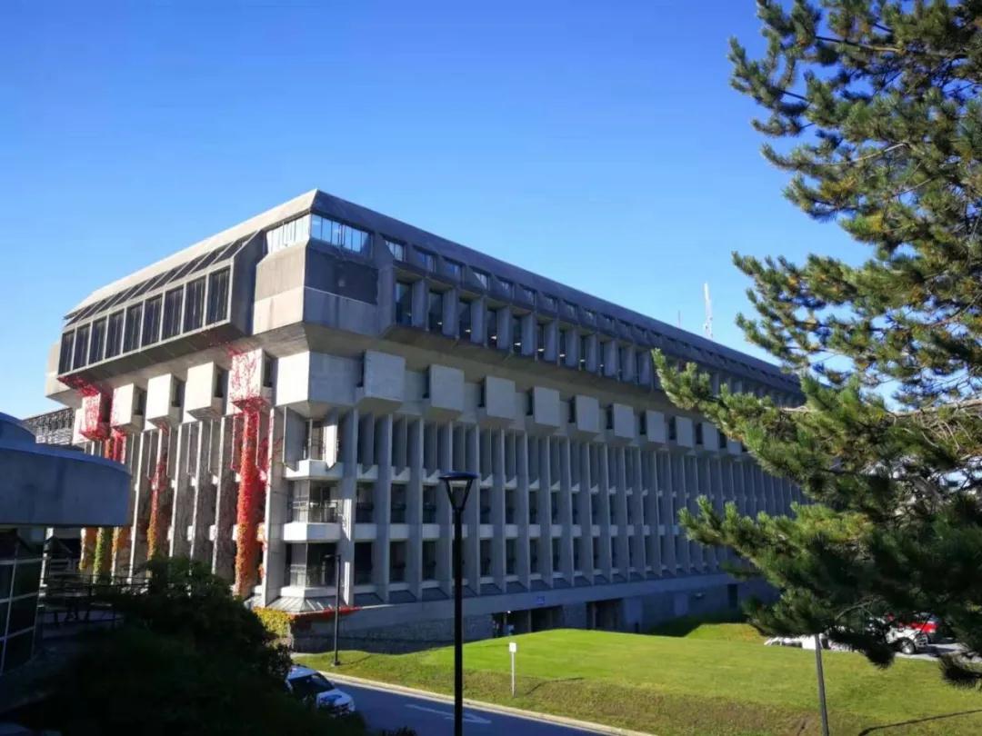 加拿大西蒙菲沙大学综合影响力排名世界19