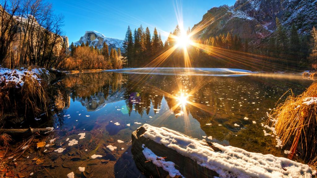 的选择,其中最大的三块:本科所学课程;相关背景(研究背景,社会活动