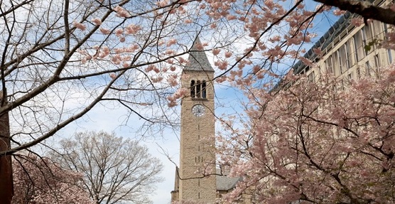 圣莫尼卡学院