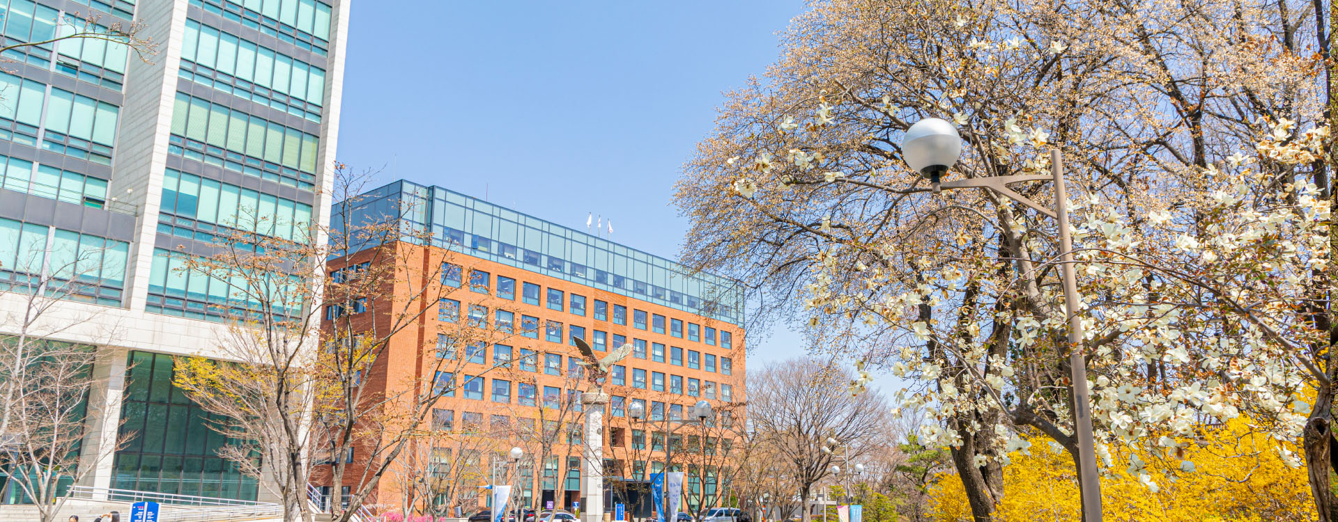 韩国首尔市立大学